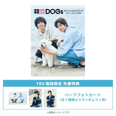 【特典付き】逃げるは恥だが役に立つ DVD-BOX (６枚組)＆シナリオブック Amazon.co.jp: 逃げるは恥だが役に立つ DVD-BOX : 新垣結衣