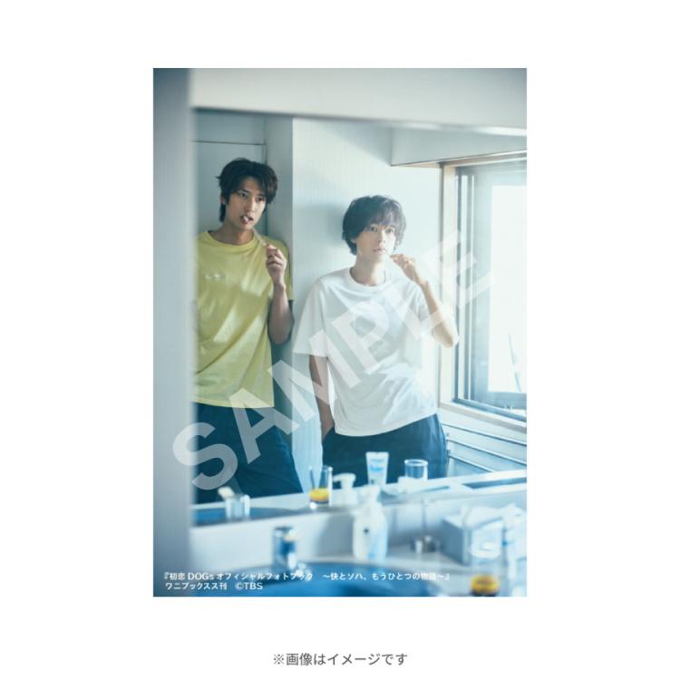 【美品】東京DOGS DVDボックス 特典フォトブック付き 東京DOGS ディレクターズカット版 DVD-BOX 中古DVD・ブルーレイ