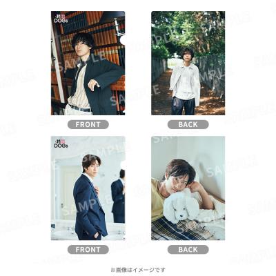 ハナミズキ プレミアム・エディション DVD ハナミズキ／プレミアム・エディション／DVD(2枚組・送料無料
