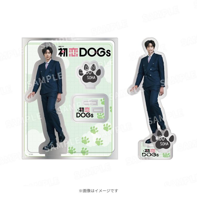 消えた初恋　グッズセット Amazon.co.jp: 消えた初恋目黒蓮セット 公式グッズ 目黒蓮 道枝