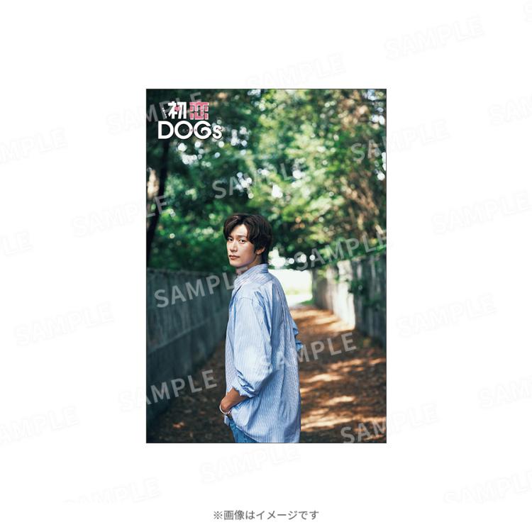 火曜ドラマ『初恋DOGs』／ポストカード5枚セット | TBS