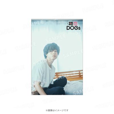 火曜ドラマ『初恋DOGs』／ポストカード 白崎快1