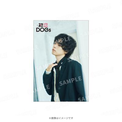 火曜ドラマ『初恋DOGs』／ポストカード 白崎快4