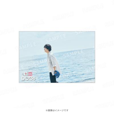 火曜ドラマ『初恋DOGs』／ポストカード 白崎快5