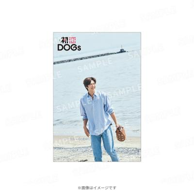 火曜ドラマ『初恋DOGs』／ポストカード ウ・ソハ5