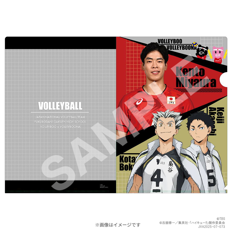 ハイキュー バレーボール男子日本代表 ワールドカップ2023 クリアファイル ハイキュー バレーボール男子日本代表 ワールドカップ2023