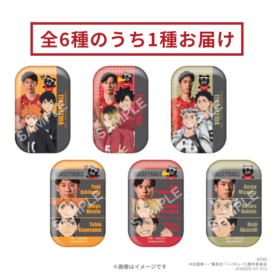 ハイキュー　ボール  週刊少年ジャンプ　懸賞　当選品　非売品　レア バレーボール ハイキュー ボール 週刊少年ジャンプ 懸賞 当選品 非売品 レア