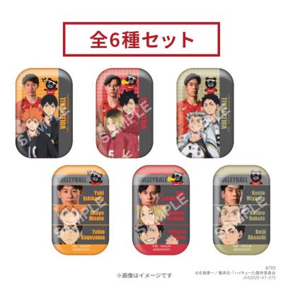 世界バレー2025記念/男子日本代表×ハイキュー!!×VolleyBoo トレーディングスクエア缶バッジ(全種セット) 世界バレー2025記念/男子日本代表×ハイキュー!!×VolleyBoo トレーディングスクエア缶バッジ(全種セット)
