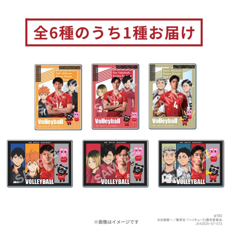 TOKYO MER DVD IDカードTBSオリジナル特典　雑誌　グッズセット Amazon.co.jp: TOKYO MER DVD特典 IDカード 音羽尚 : おもちゃ