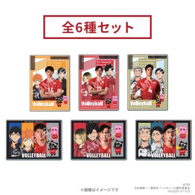 バレーコラボグッズ 世界バレー | TBSショッピング