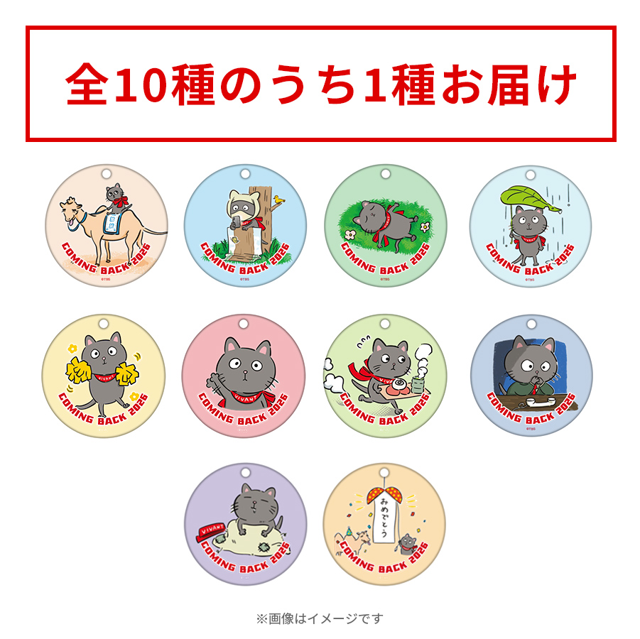 d*7様 推しの子 トレーディングやわらかクリアチャーム コンプリート