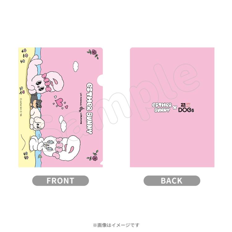 月9 ドラマ クリアファイル[非売品] ドラマストリーム『毒恋～毒もすぎれば恋となる～』／クリア