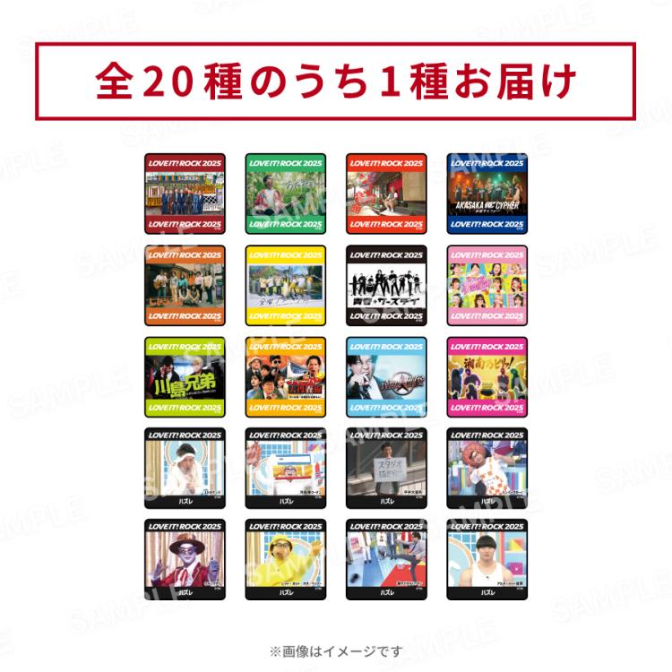 ラヴィット！ロック2025／アーティスト缶バッジ シークレット