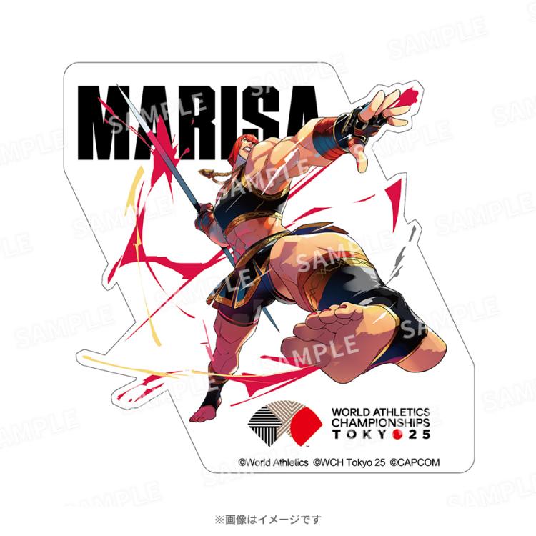 極レア品】非売品・CAPCOMストリートファイターカード【16キャラ