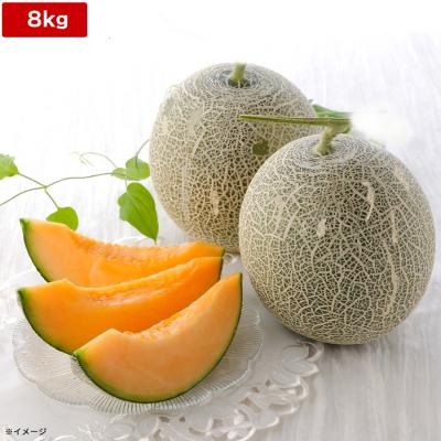 お徳用 らいでんメロン/4-7玉 8kg お徳用 らいでんメロン/4-7玉 8kg