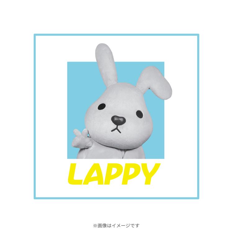 ラヴィット！／ハンドタオル ラッピー(実写・スクエア) | TBS