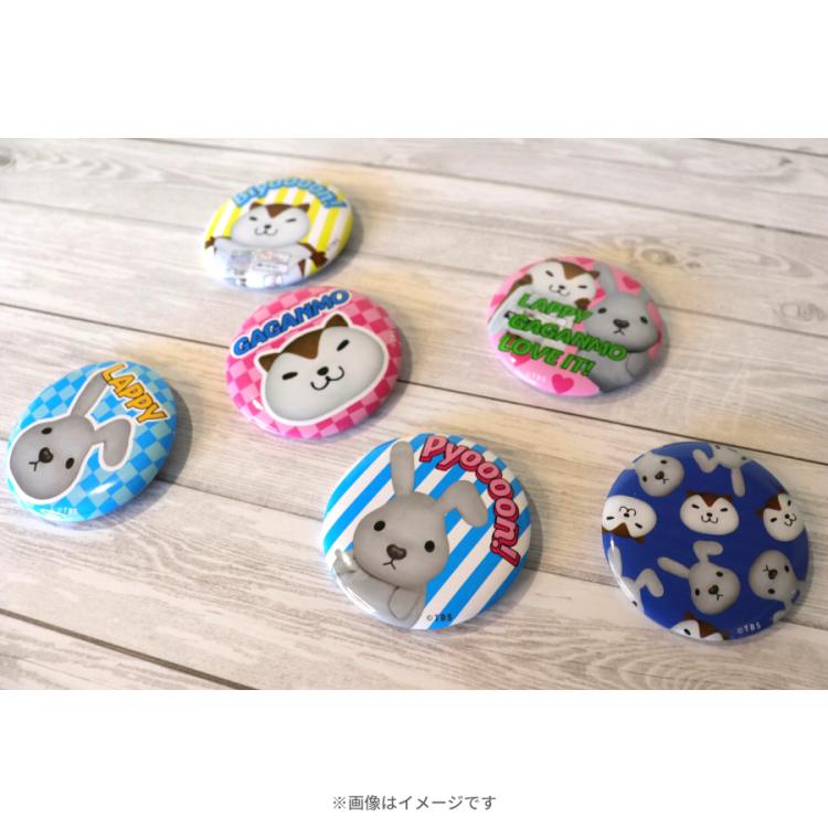 ラヴィット！／トレーディング缶バッジ 実写ver. (全6種)BOX | TBS