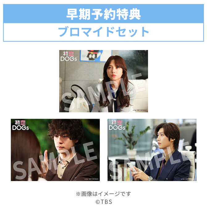 火曜ドラマ『初恋DOGs』／DVD-BOX（TBSオリジナル特典＆早期予約特典