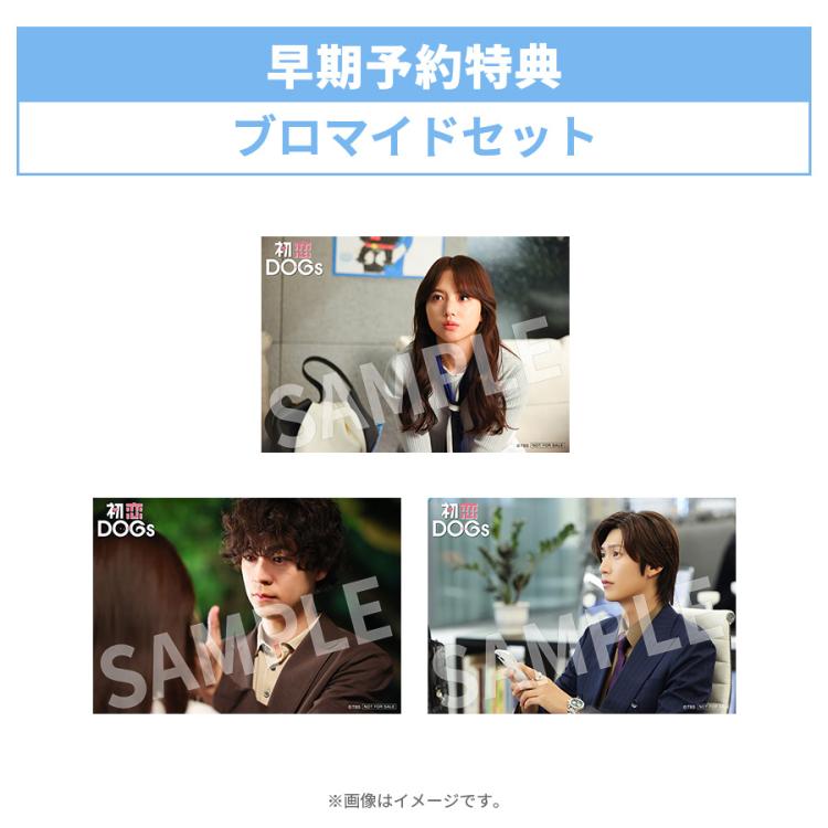 火曜ドラマ『初恋DOGs』／DVD-BOX（TBSオリジナル特典＆早期予約特典
