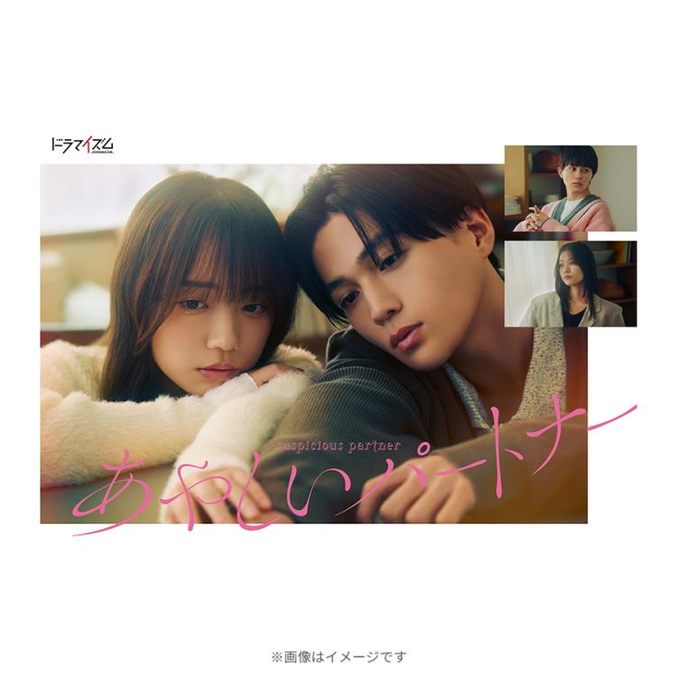 あやしいパートナー／DVD-BOX（TBS・MBSオリジナル特典付き