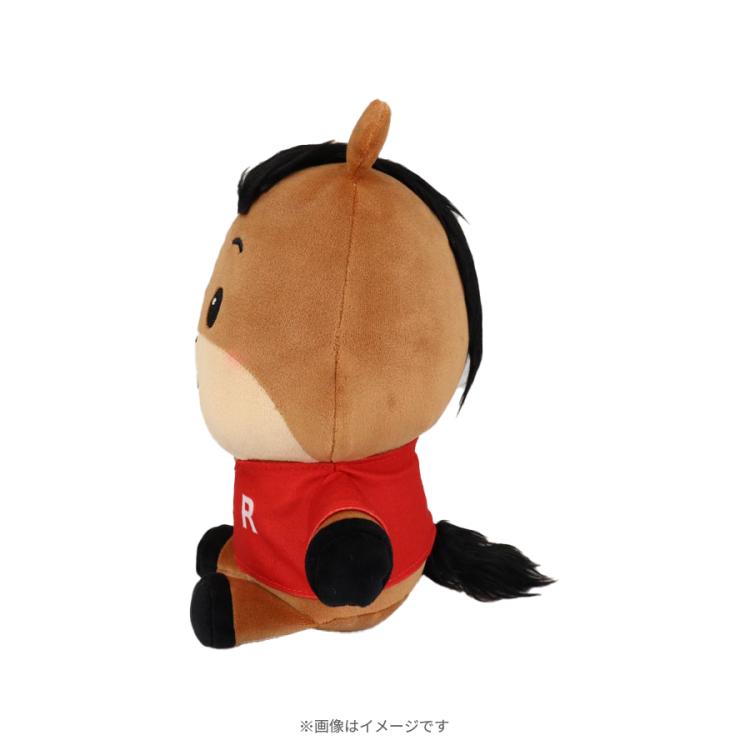 ザ・ロイヤルファミリー ドラマ マフラー SHIPS 限定品 グッズ GOODS