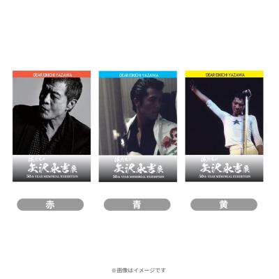 花のち晴れ～花男Next Season～ DVD-BOX〈6枚組〉 花のち晴れ～花男Next Season～／DVD-BOX（送料無料・6枚組