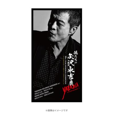 金曜ドラマ『ライオンの隠れ家』／DVD-BOX（TBSオリジナル特典