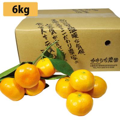 国産豚の角煮／840g(14食) または 1.68kg(28食) | TBS