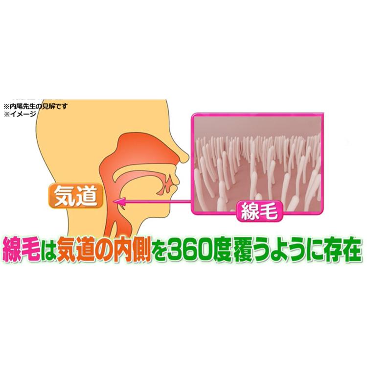 管理医療機器＞メディサナ 家庭用超音波吸入器／のど・鼻の乾燥ケア