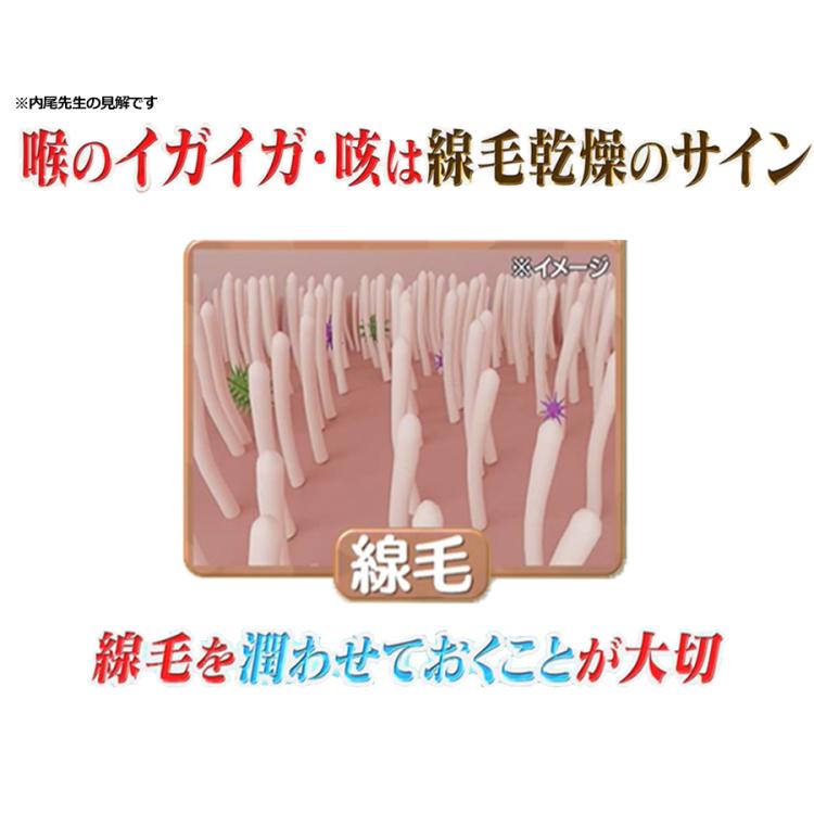 管理医療機器＞メディサナ 家庭用超音波吸入器／のど・鼻の乾燥ケア