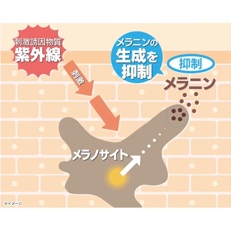 医薬部外品】リンクルIPオールインワンゲル／特別セット | TBS