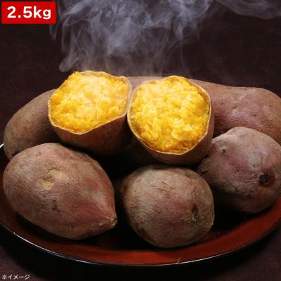 鹿児島県産 安納紅/2.5kg 鹿児島県産 安納紅/2.5kg