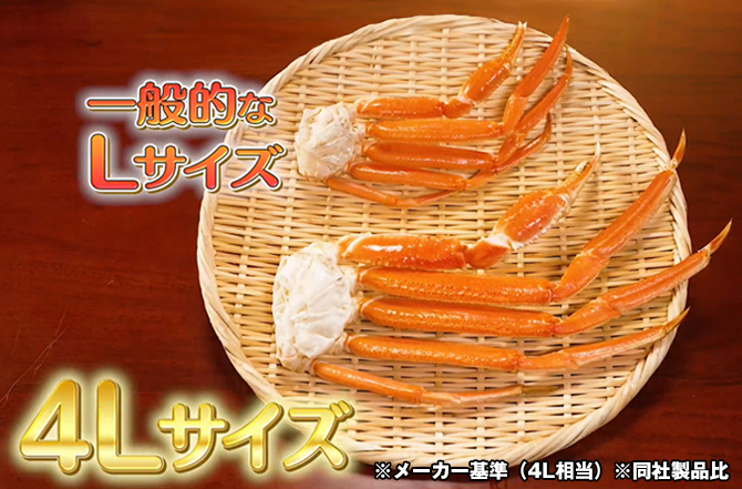 ボイル本ズワイガニ脚／計1.6kg(4～6肩) | TBSショッピング