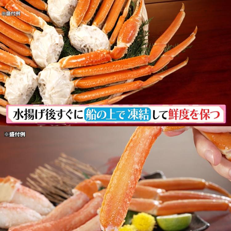 ボイル本ズワイガニ脚／計1.6kg(4～6肩) | TBSショッピング