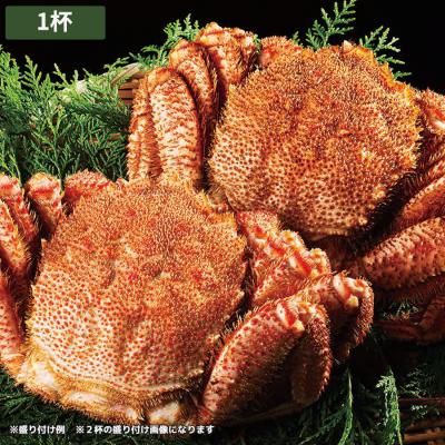 北海道産特大毛ガニ／1杯（800g）