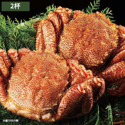 北海道産特大毛ガニ／2杯（1.6kg）
