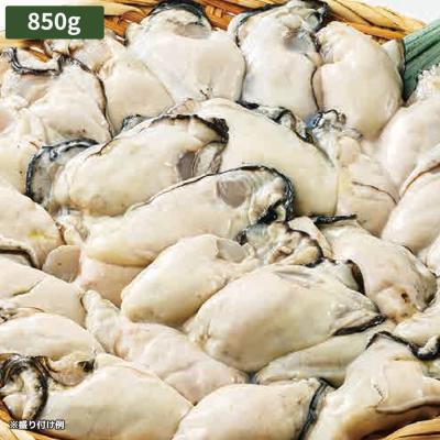 【加熱用】広島県産 冷凍生牡蠣 【加熱用】広島県産 冷凍生牡蠣