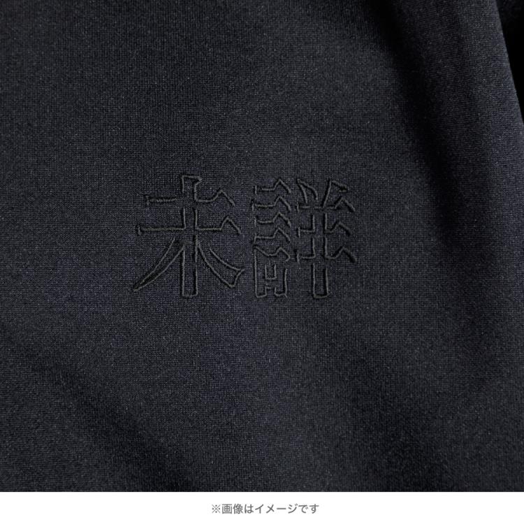 SPEC～警視庁公安部公安第五課 未詳事件特別対策係事件簿～／未詳事件