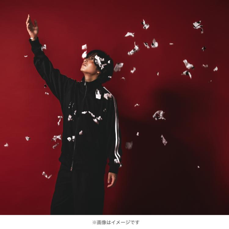 SPEC～警視庁公安部公安第五課 未詳事件特別対策係事件簿～／未詳事件