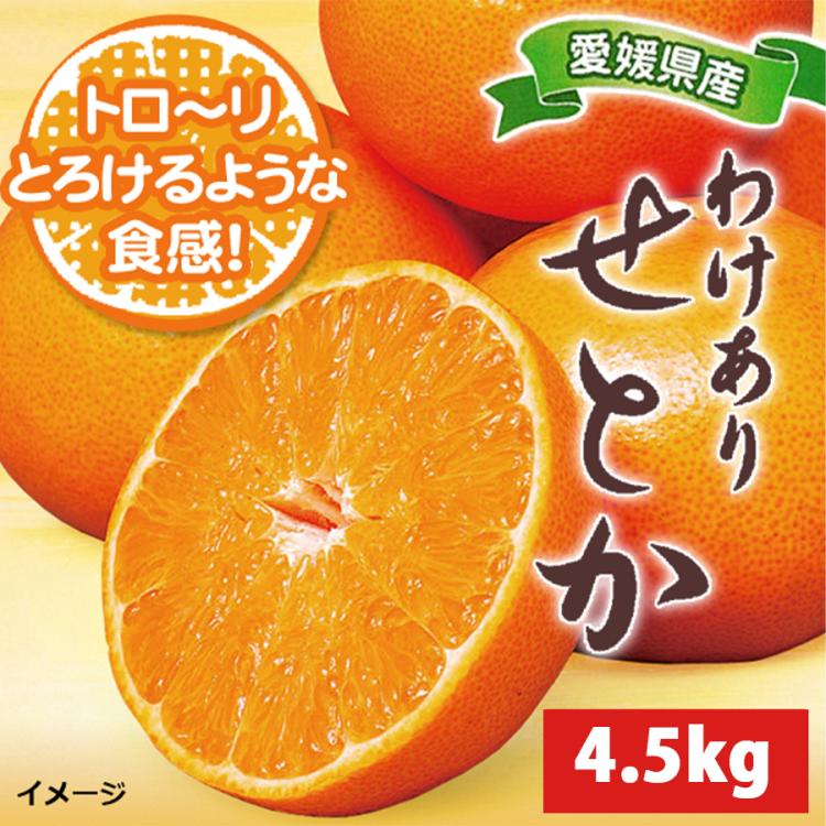 専用⭐みかん＊限定特価⭐ひんやり冷感ガーゼタオル⭐チョコトリオ…ドット星ボーダー 愛媛県産 訳ありせとか／約4.5kg | TBSショッピング