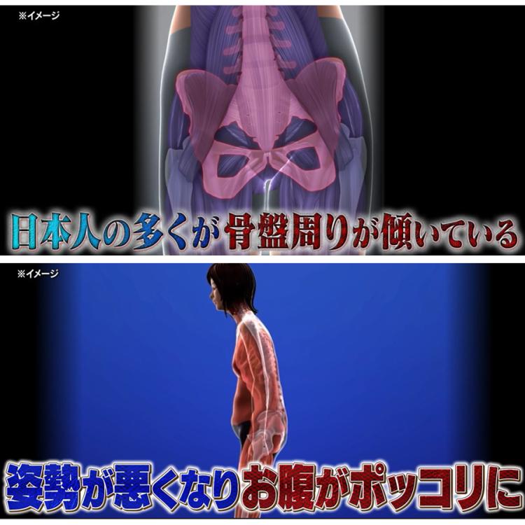 スッキリ骨盤シェイプ枕 | TBSショッピング