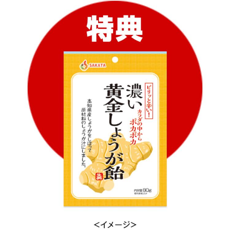 高知県産 粉末生姜 4袋(計140g)、6袋(計210g)＋生姜飴1袋、または12袋