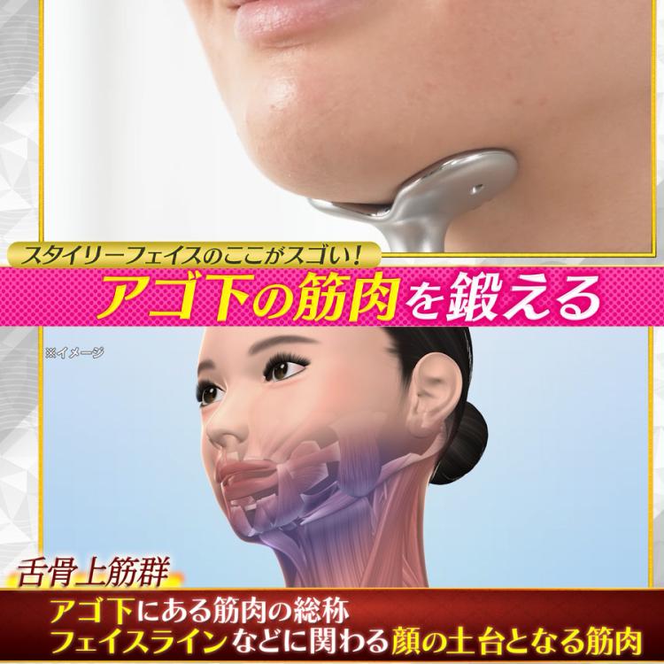 スタイリーフェイス／美顔器／EMS／たるみケア／アゴ下トレーニング