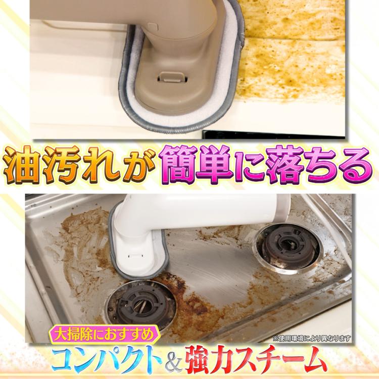 0（プラスマイナスゼロ）スチームクリーナー | TBSショッピング