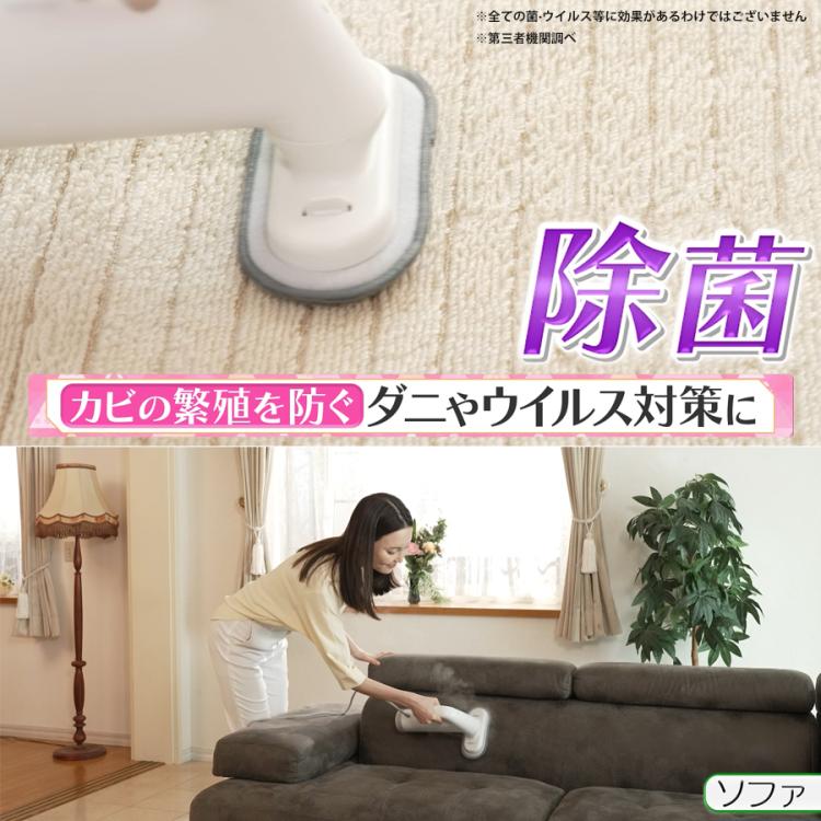 0（プラスマイナスゼロ）スチームクリーナー | TBSショッピング