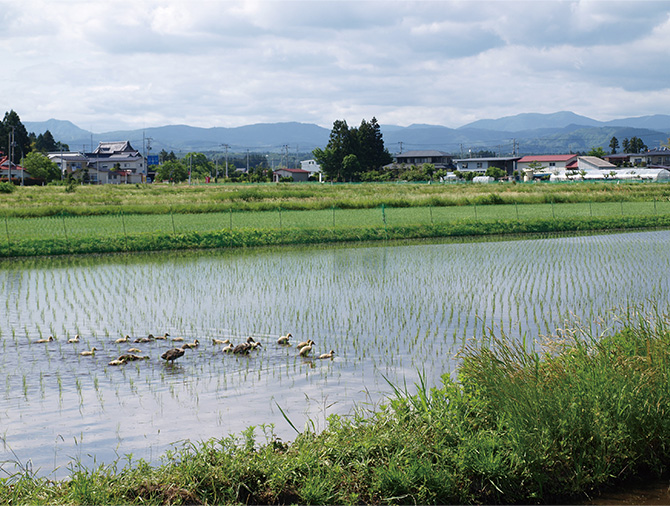国産原料と素材の旨味を活かした素朴なお粥