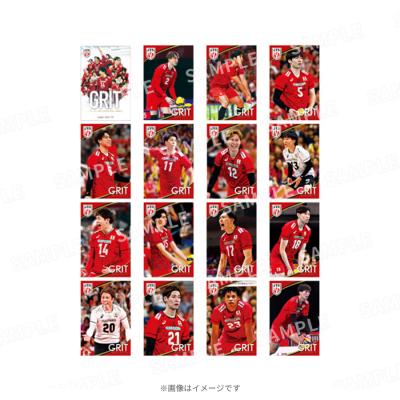 BE@RBRICK 達磨 クイズ☆正解は一年後 400% | TBSショッピング