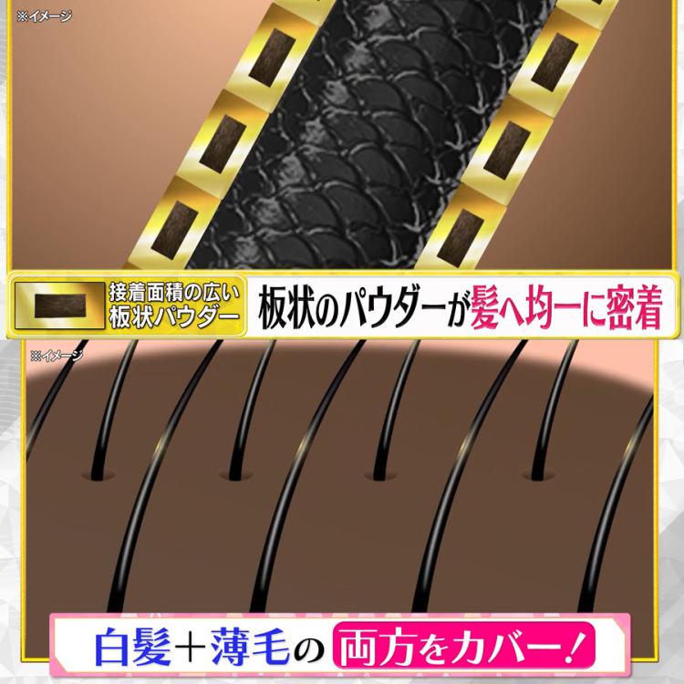 ララチュー ヘアファンデーション プレミアムN | TBSショッピング