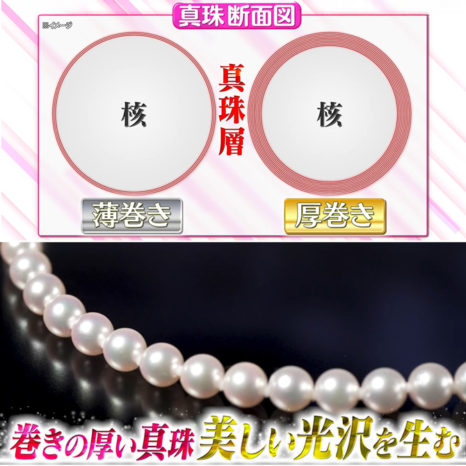 美しい光沢の秘密