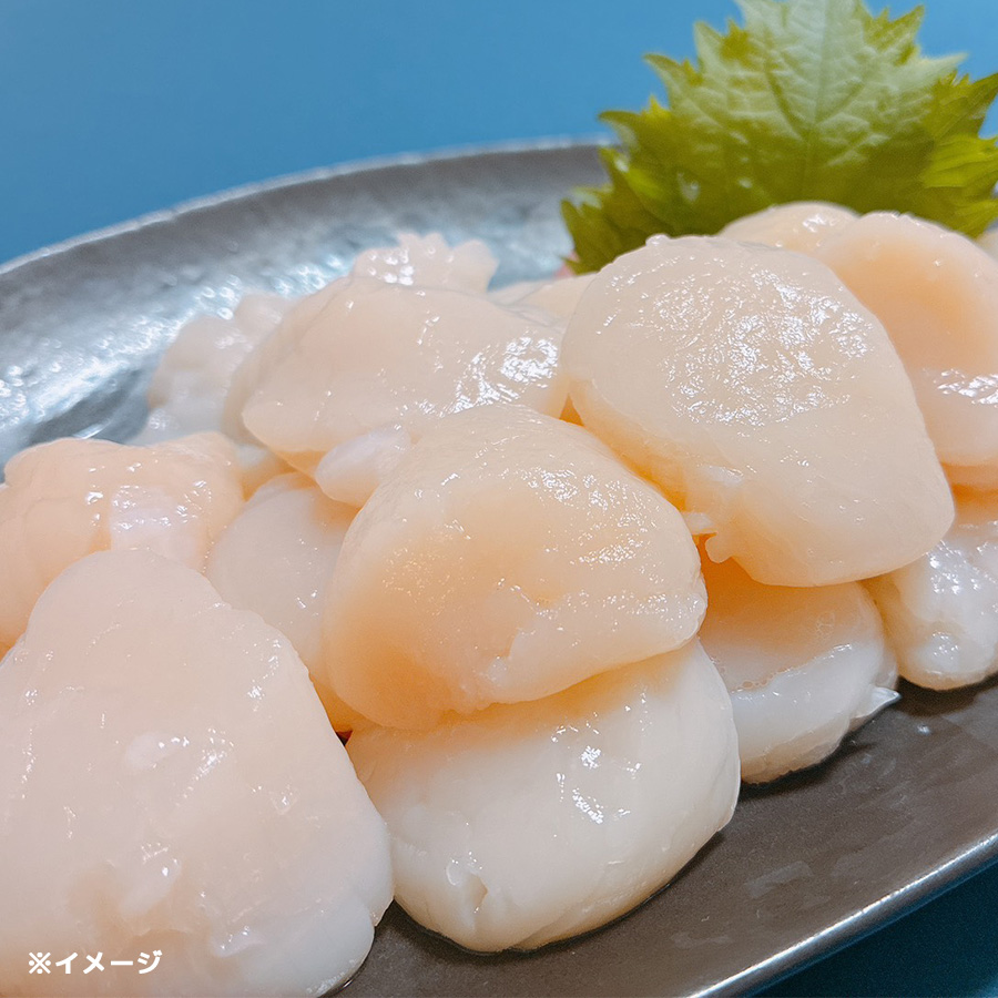 北海道 枝幸産 訳ありホタテ／1kg | TBSショッピング